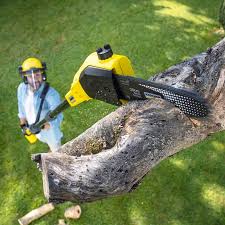 Best Lawn Watering Services  in Lipatria, CA